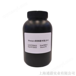 通蔚品牌100bp DNA Marker
