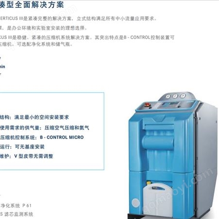 百夫马高压气体反应器和其他容器的惰化 混合气体压缩机 BF