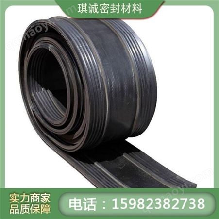 琪诚优质供应钢边式橡胶止水带 建筑用可卸中埋式背贴